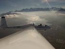 SZD Allstar PZL Glider