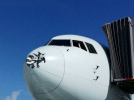 Bird strike