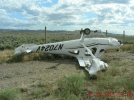 41732.jpg.gif