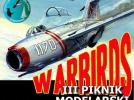 Zlot Warbirds 2019 w Bobrownikach (fot. skm-bobrowniki.pl)