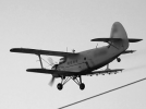An-2 wykonujący opryski pól, fot. Internet