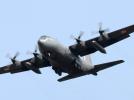 C-130E Hercules (fot. archiwum 33.BLTr)