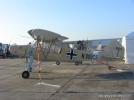 Criquet Storch