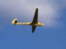 SZD-8 "Jaskółka" SP-3675 w locie (fot. Grzegorz Kazuro)