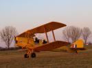 Tiger Moth T-7230 (fot. Krzysztof Łączkowski)