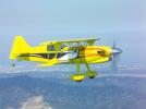 Turbine Toucan