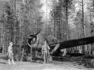 F2A Buffalo należący do lotnictwa fińskiego podczas trwania wojny kontynuacyjnej, 1941 rok (fot. SA-kuva, Domena publiczna, Wikimedia Commons)