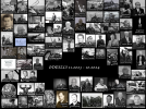 ODESZLI 11.2023 - 10.2024