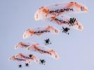 Phoenix Paramotor Display Team