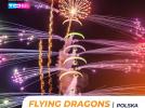 Flying Dragons Team na Antidotum Airshow Leszno 2025 (fot. Krzysztof Wilma Fotografia)