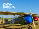 Albatros Oeffag D.III na Nowotarskim Pikniku Lotniczym (fot. Dariusz Wesołowski)