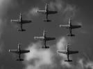 Zespół Akrobacyjny 'Orlik' w locie - widok z dołu - wersja biało-czarna (fot. Aerobatic Team Orlik, Facebook)